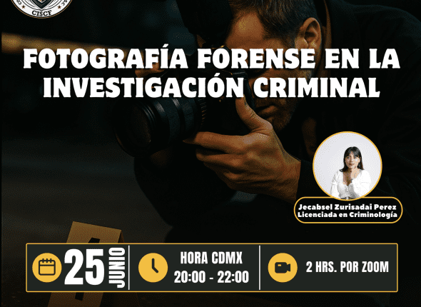 Captura de pantalla 2025-06-25 a las 3.31.49 p. m.